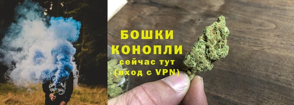 a pvp Бородино