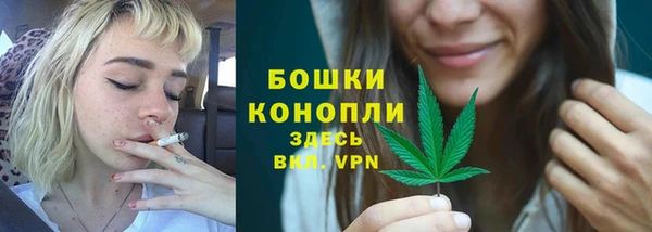a pvp Бородино
