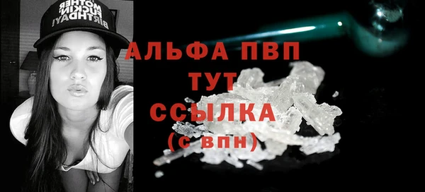 a pvp Бородино