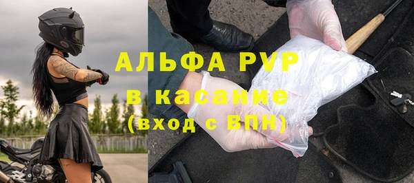 a pvp Бородино
