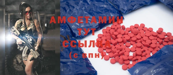 a pvp Бородино