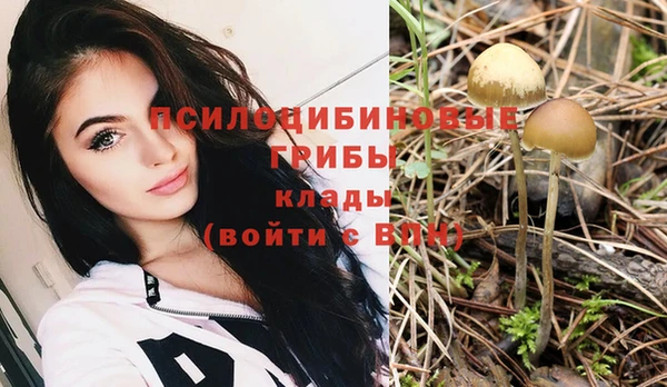 a pvp Бородино